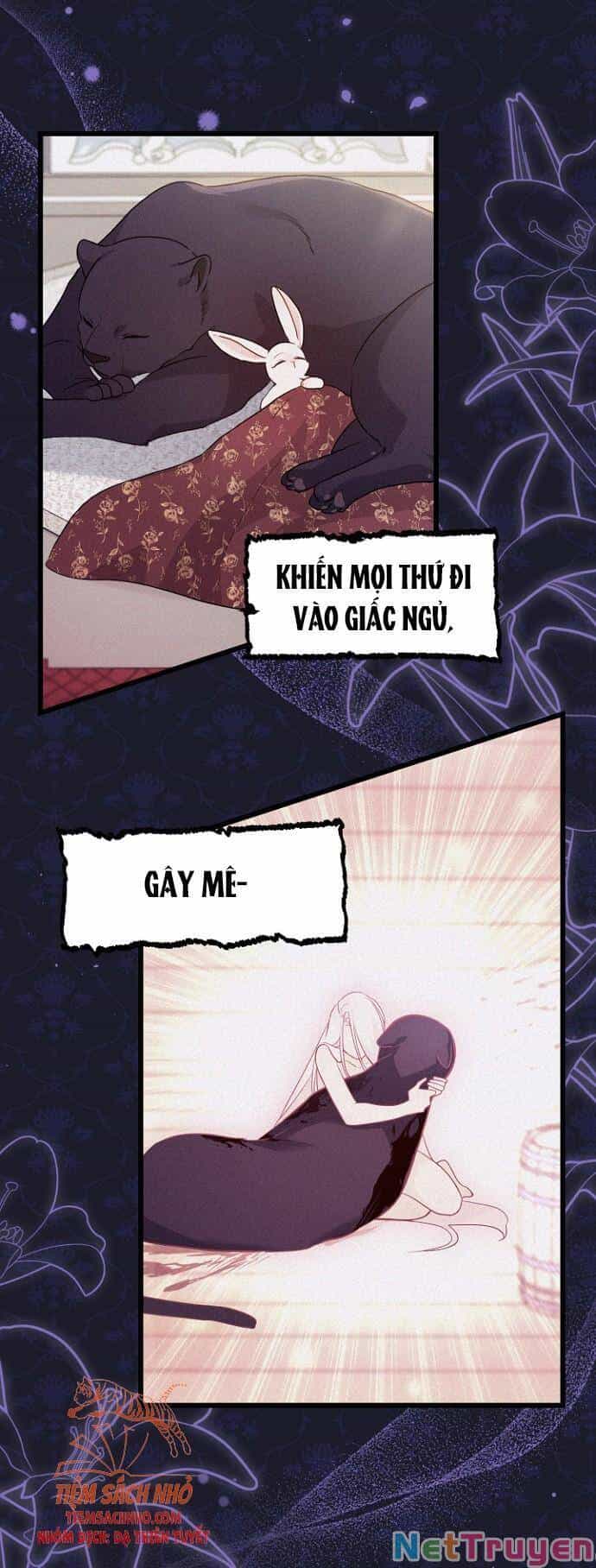 Mối Quan Hệ Cộng Sinh Giữa Báo Đen Và Thỏ Trắng - Chương 47 - ảnh 61