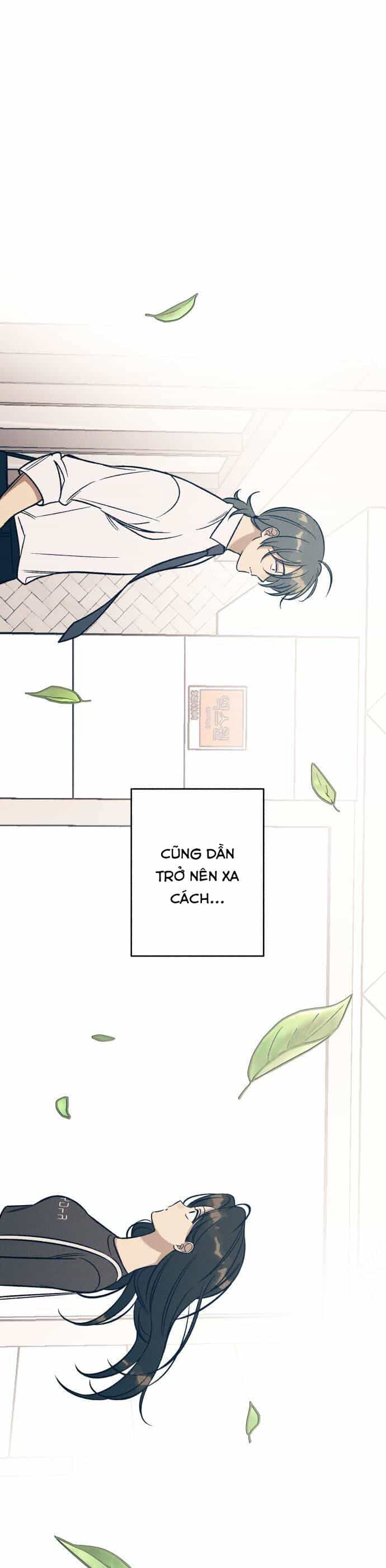 Mối Tình Đầu Đáng Ghét - Chương 46 - ảnh 19