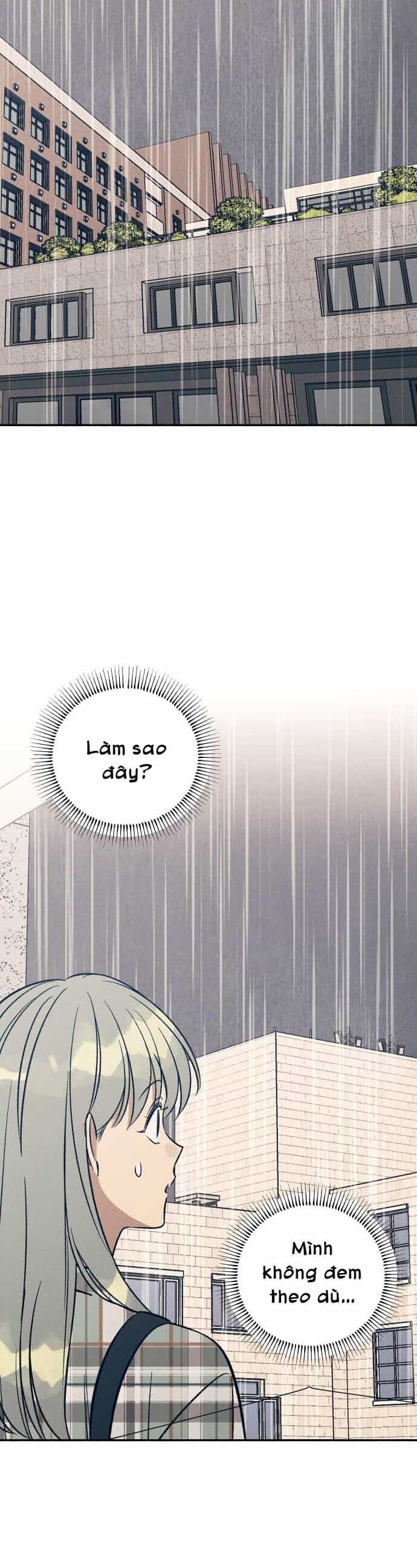 Mối Tình Đầu Đáng Ghét - Chương 50 - ảnh 18