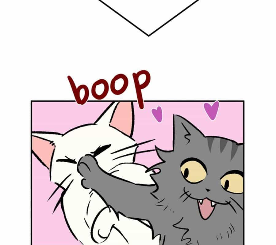 Morgana And Oz - Chương 8 - ảnh 7