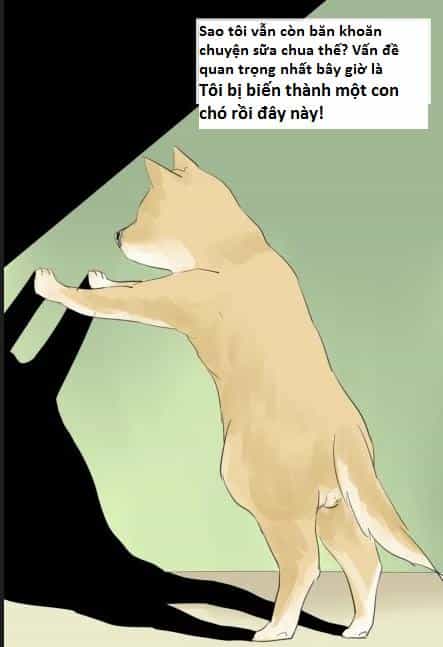 Một Con Chó - Chương 1 - ảnh 10