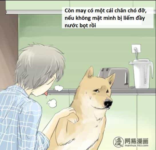Một Con Chó - Chương 1 - ảnh 4