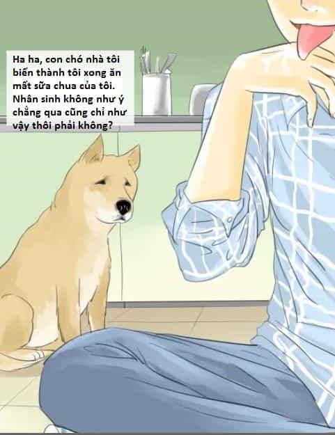 Một Con Chó - Chương 1 - ảnh 9