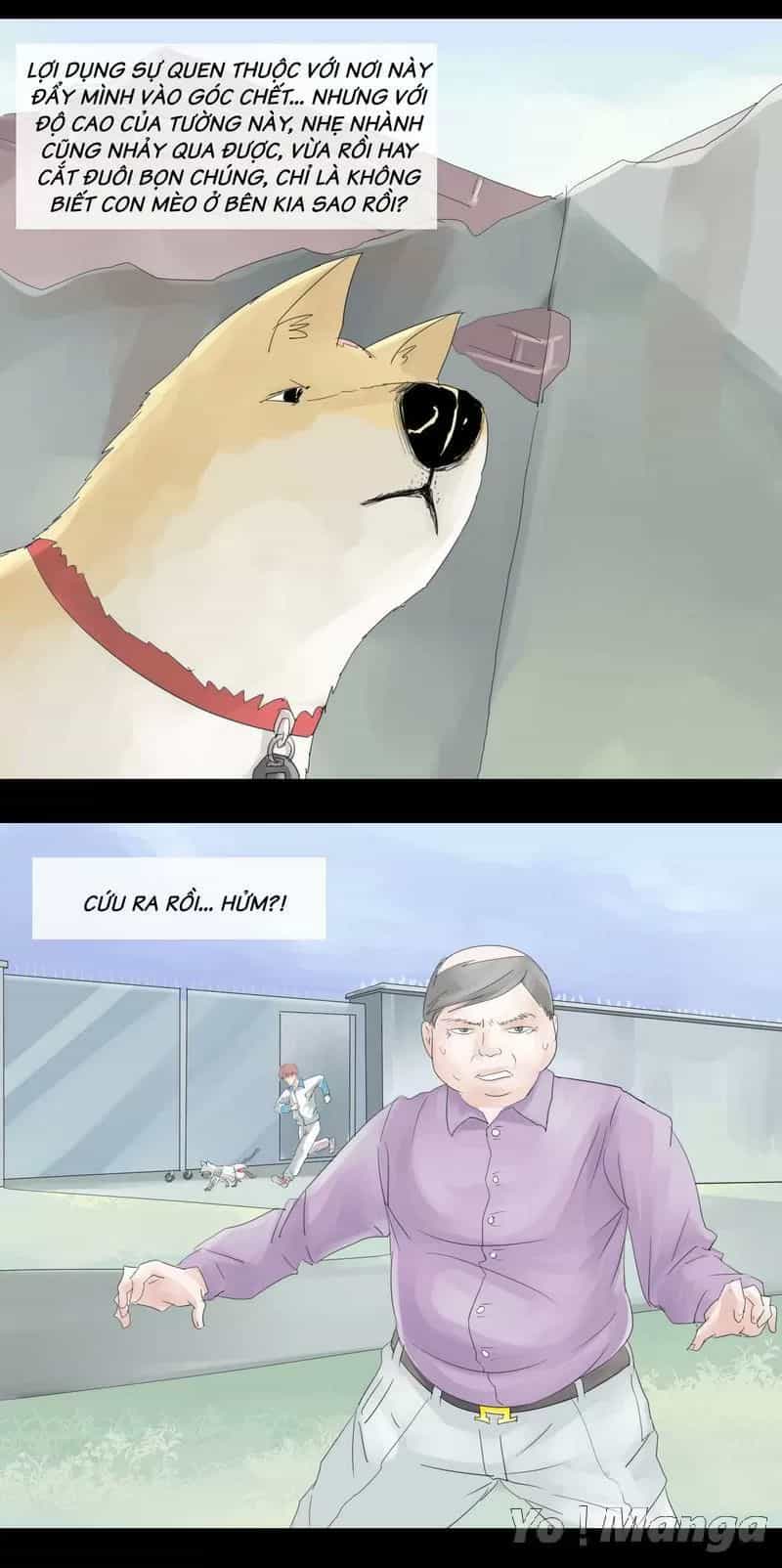 Một Con Chó - Chương 17 - ảnh 2