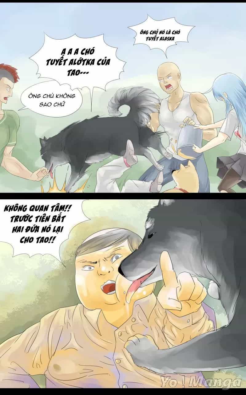 Một Con Chó - Chương 18 - ảnh 4
