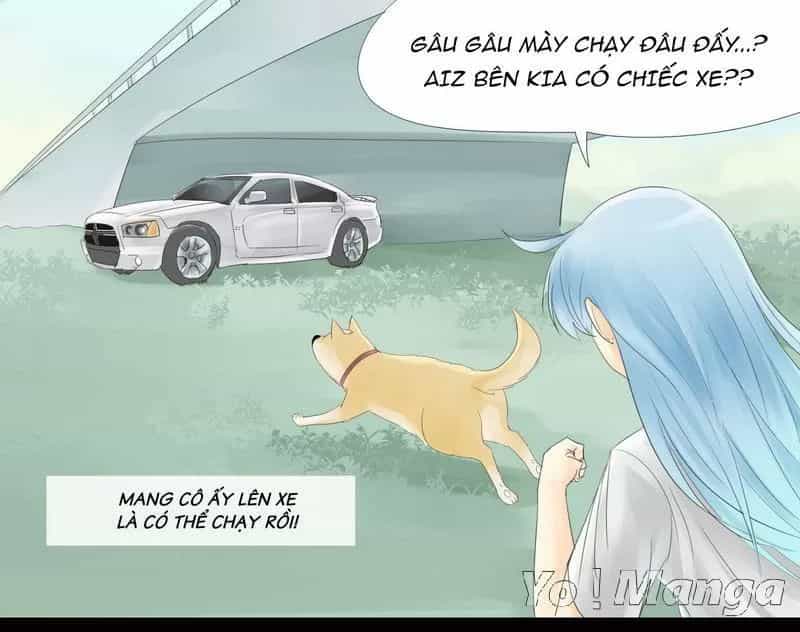 Một Con Chó - Chương 19 - ảnh 1