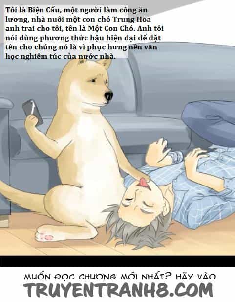 Một Con Chó - Chương 2 - ảnh 1