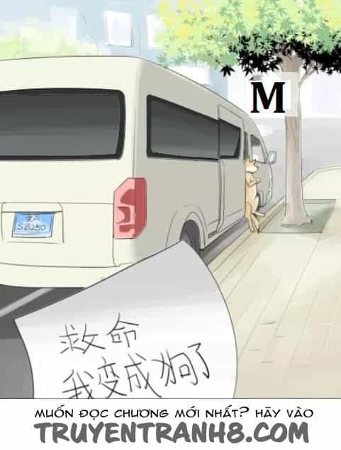 Một Con Chó - Chương 2 - ảnh 11