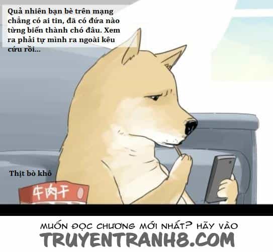 Một Con Chó - Chương 2 - ảnh 3