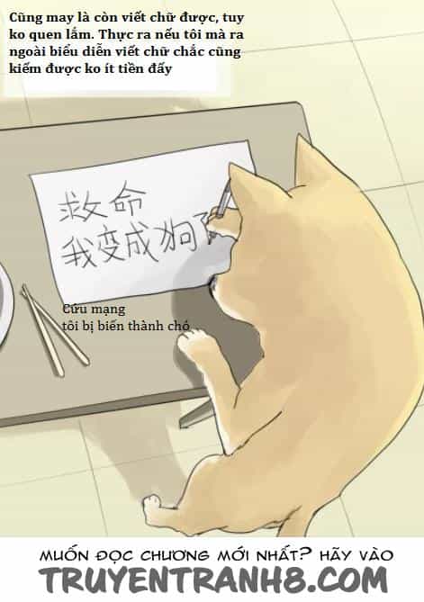 Một Con Chó - Chương 2 - ảnh 5