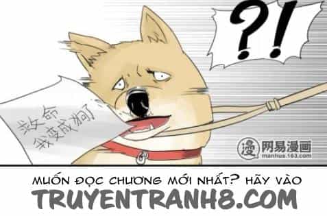 Một Con Chó - Chương 2 - ảnh 8