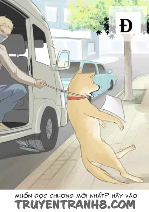 Một Con Chó - Chương 2 - ảnh 9