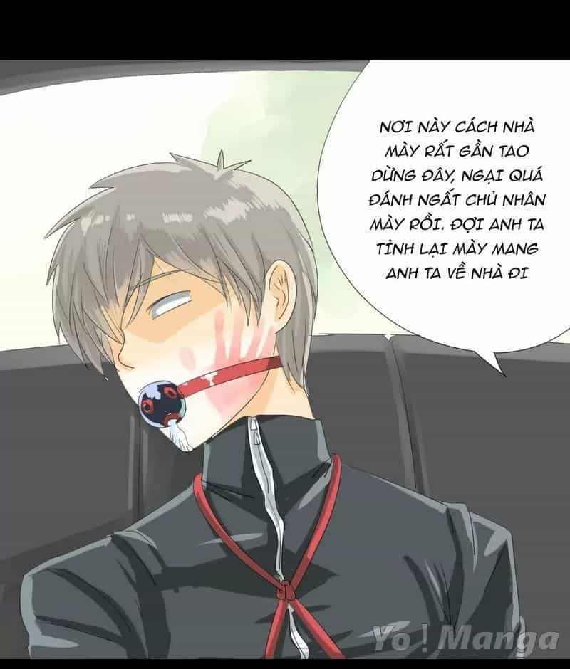 Một Con Chó - Chương 20 - ảnh 5