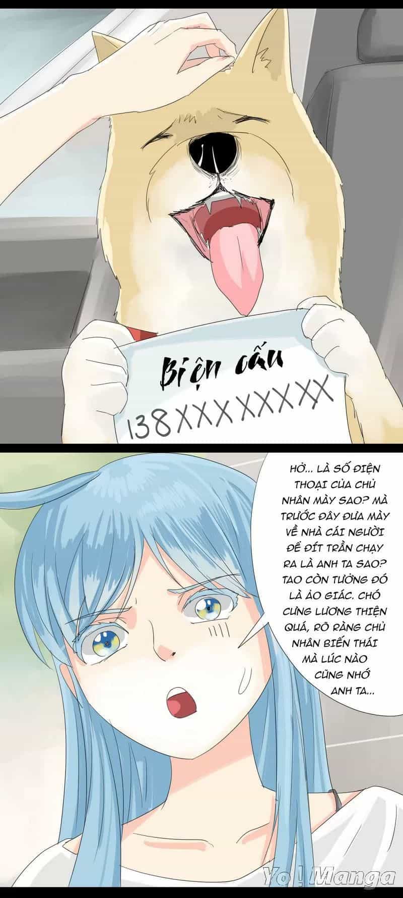 Một Con Chó - Chương 20 - ảnh 7