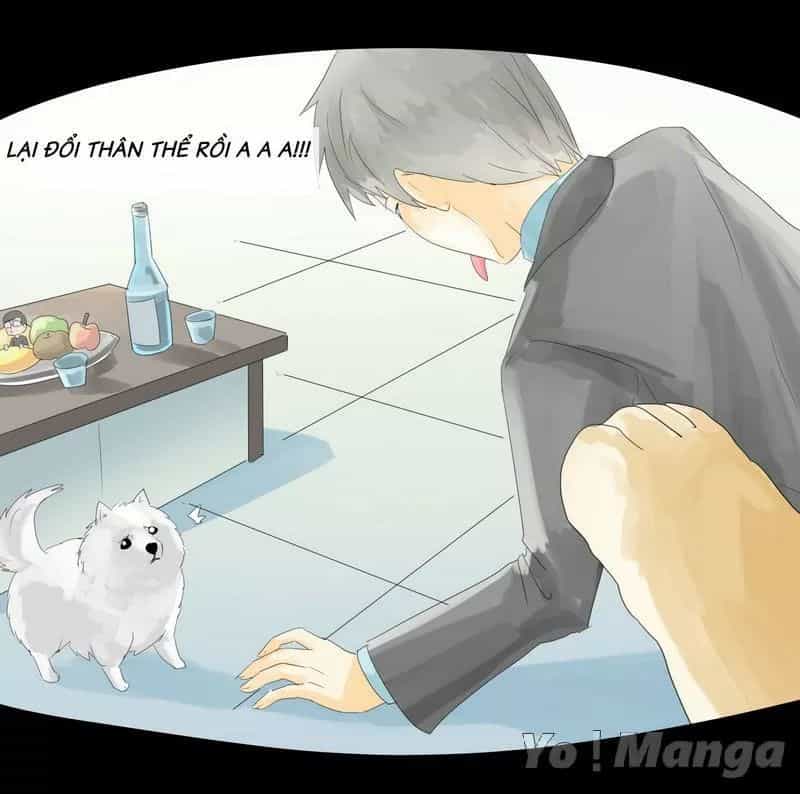 Một Con Chó - Chương 24 - ảnh 7