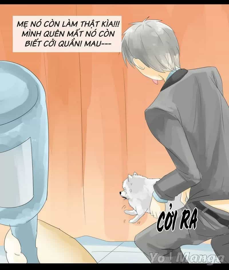 Một Con Chó - Chương 24 - ảnh 9