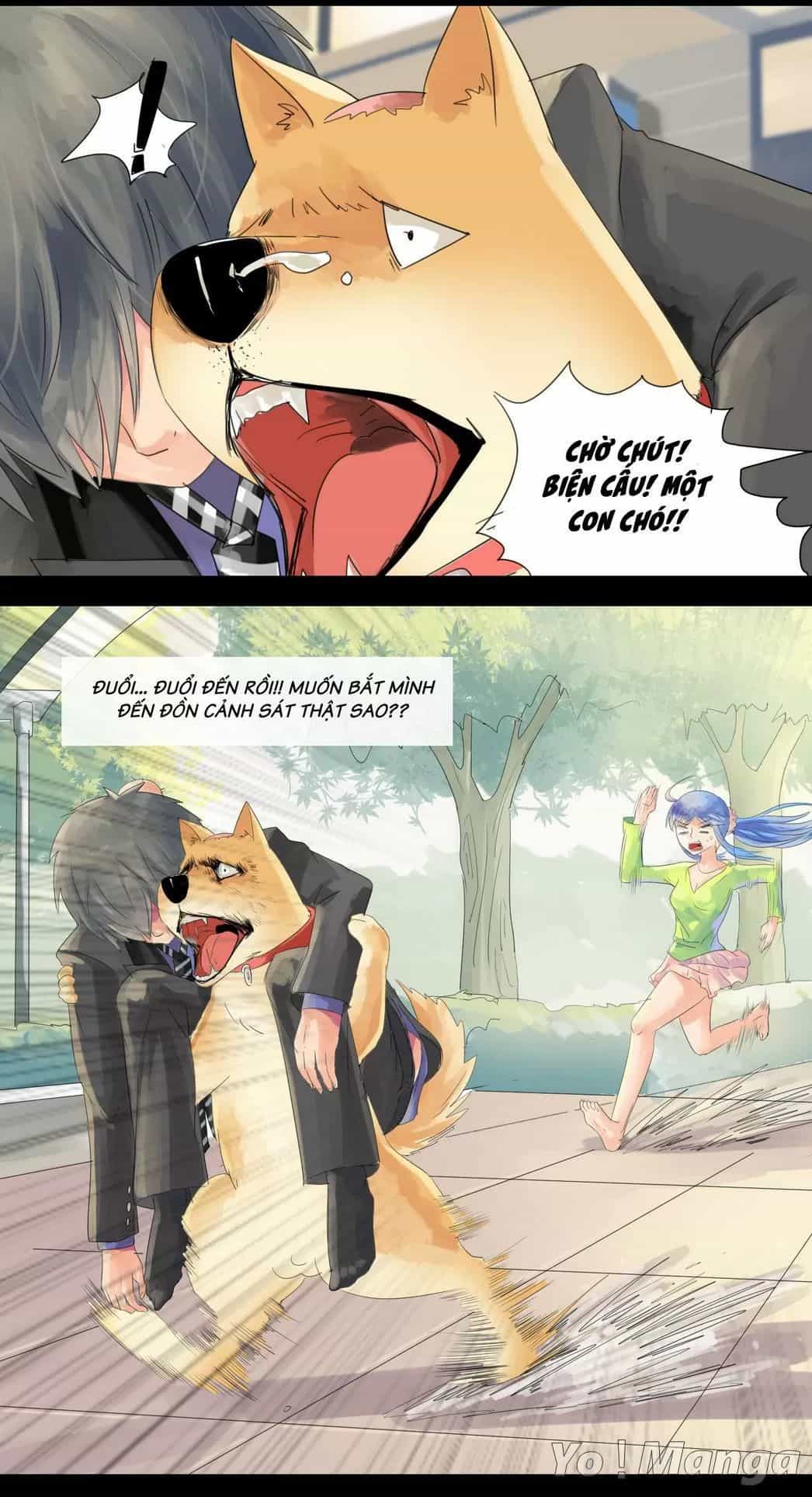 Một Con Chó - Chương 25 - ảnh 2