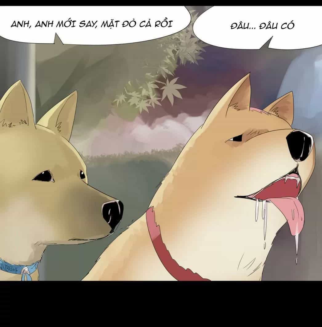 Một Con Chó - Chương 26 - ảnh 4