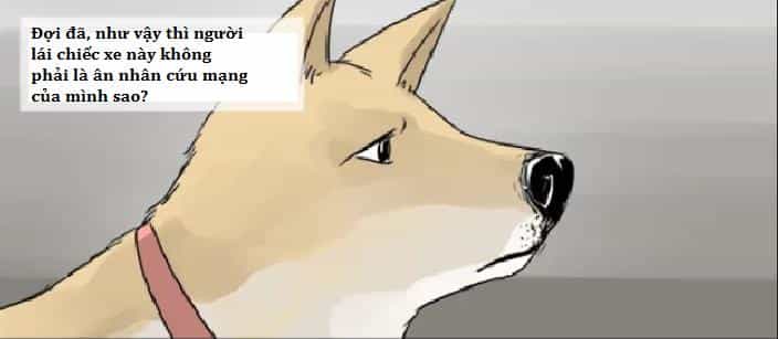 Một Con Chó - Chương 3 - ảnh 11