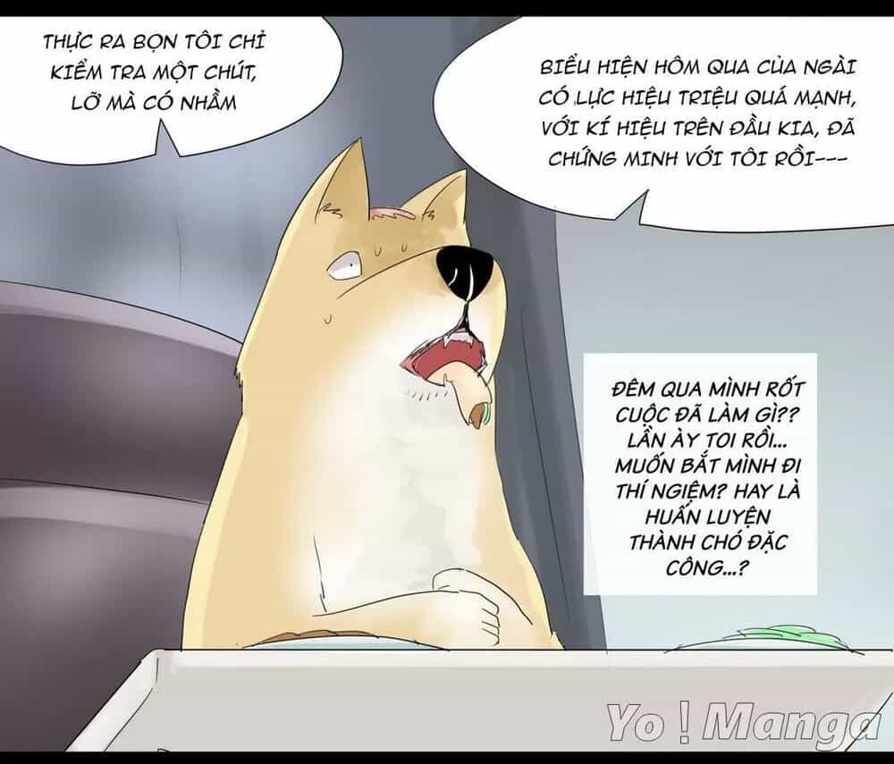 Một Con Chó - Chương 30 - ảnh 6