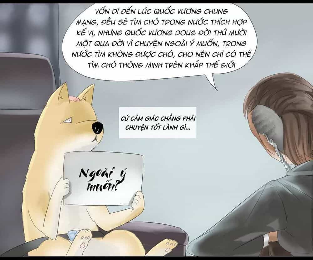 Một Con Chó - Chương 31 - ảnh 4
