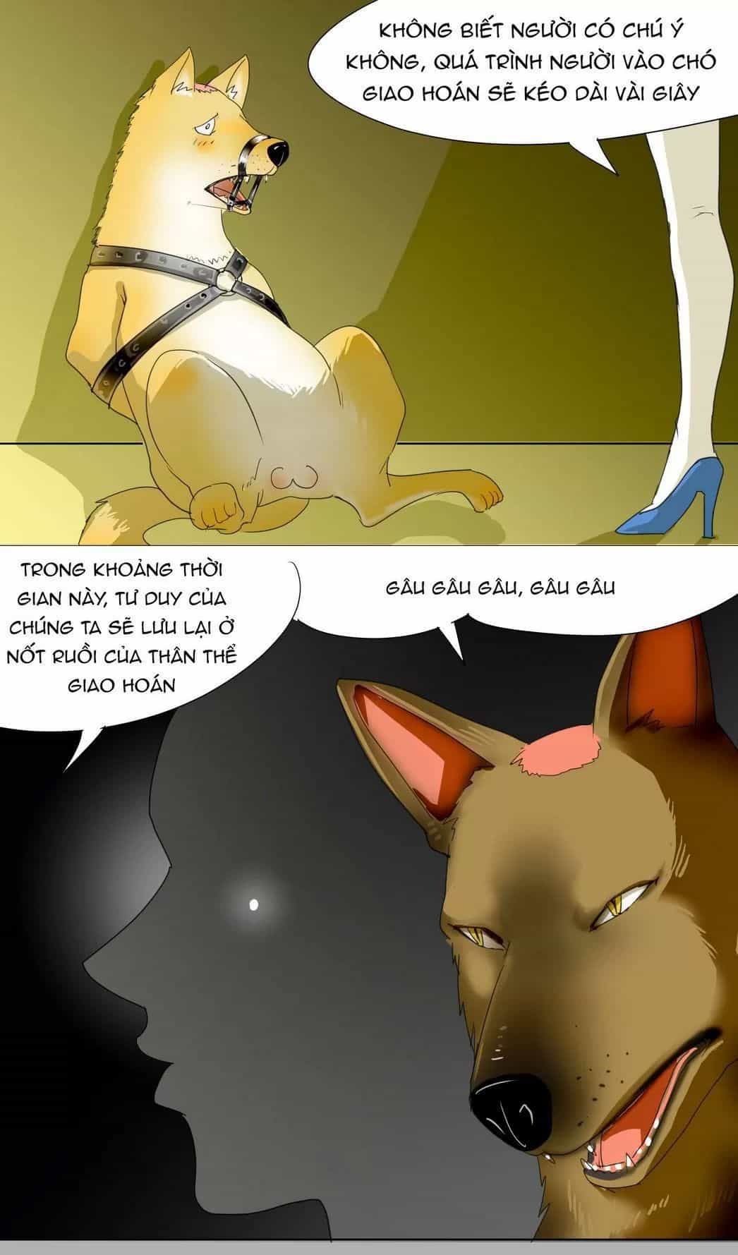Một Con Chó - Chương 40 - ảnh 1