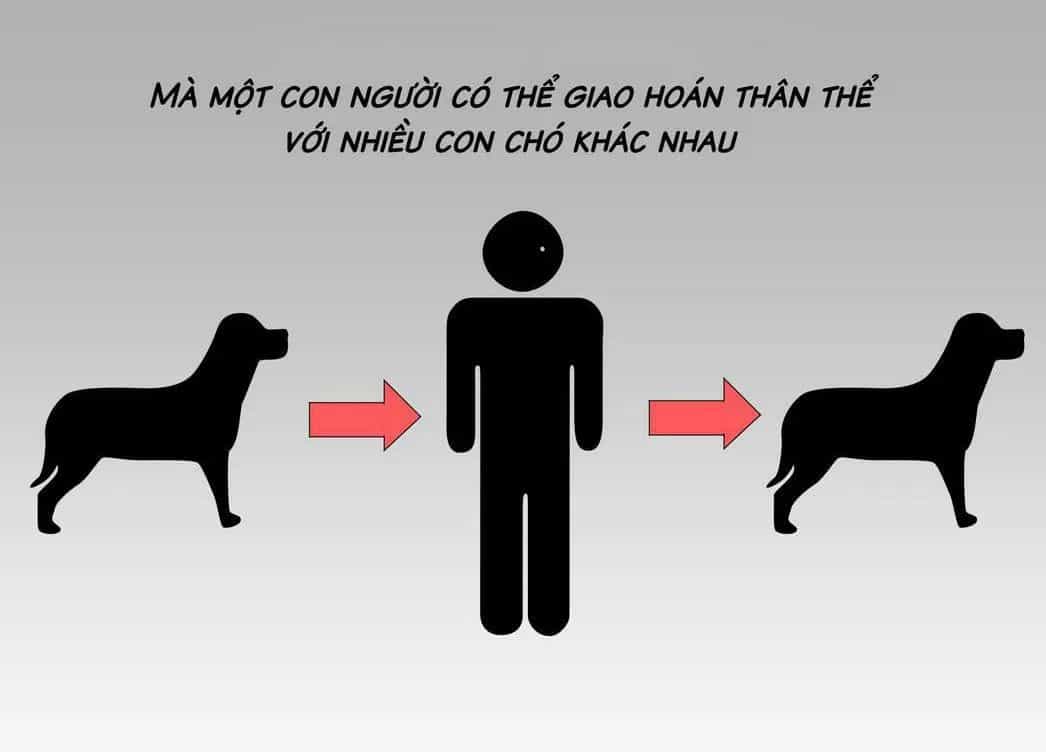 Một Con Chó - Chương 40 - ảnh 2