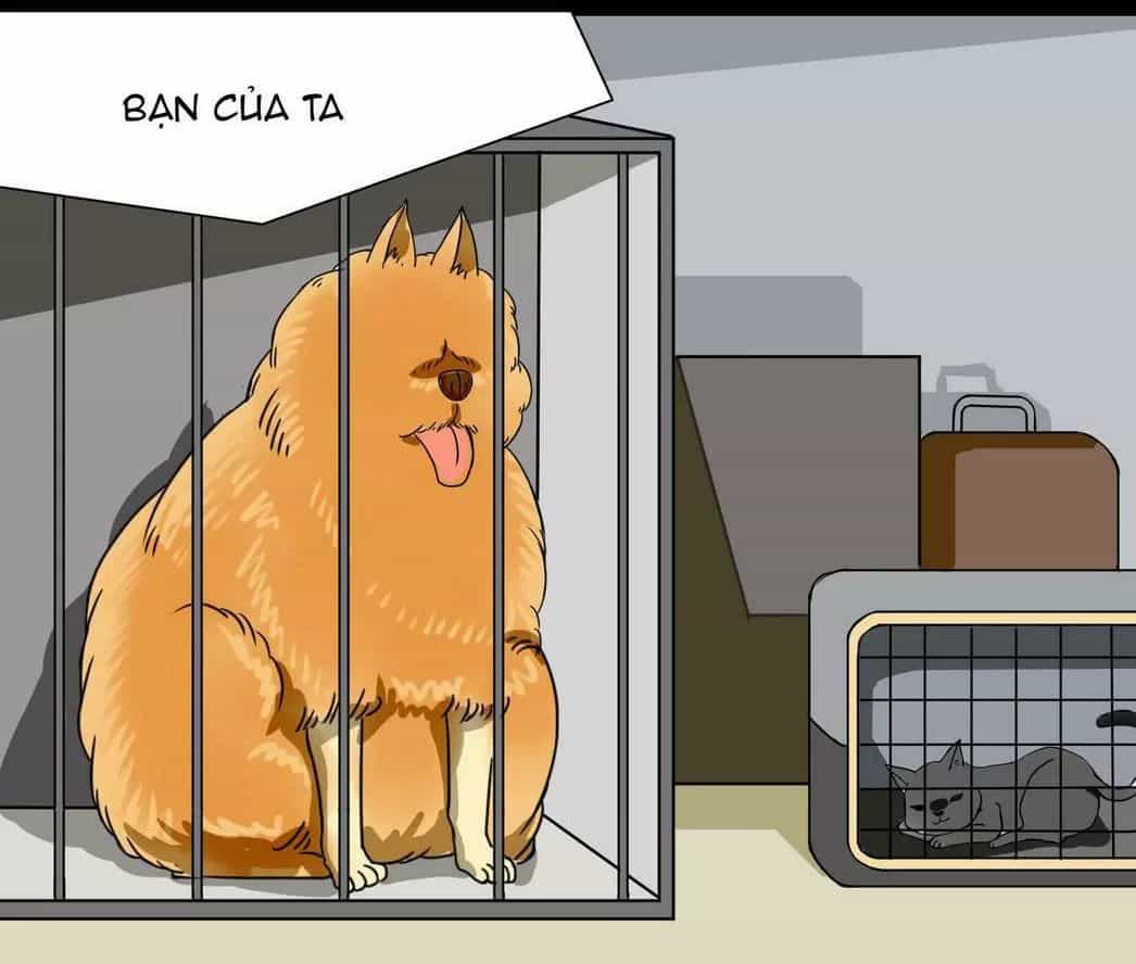 Một Con Chó - Chương 42 - ảnh 8