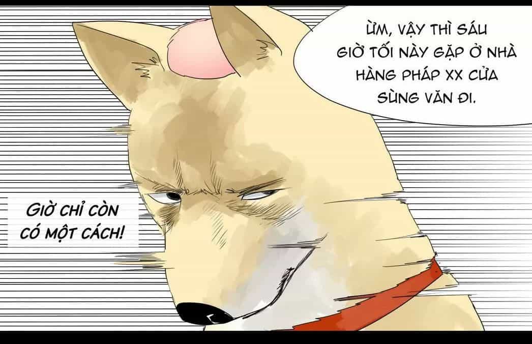 Một Con Chó - Chương 43 - ảnh 10