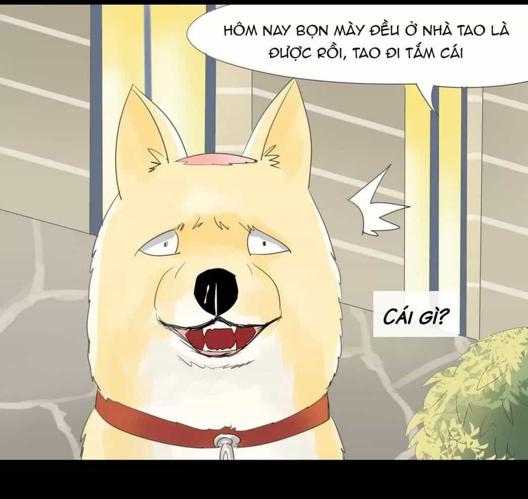 Một Con Chó - Chương 46 - ảnh 6