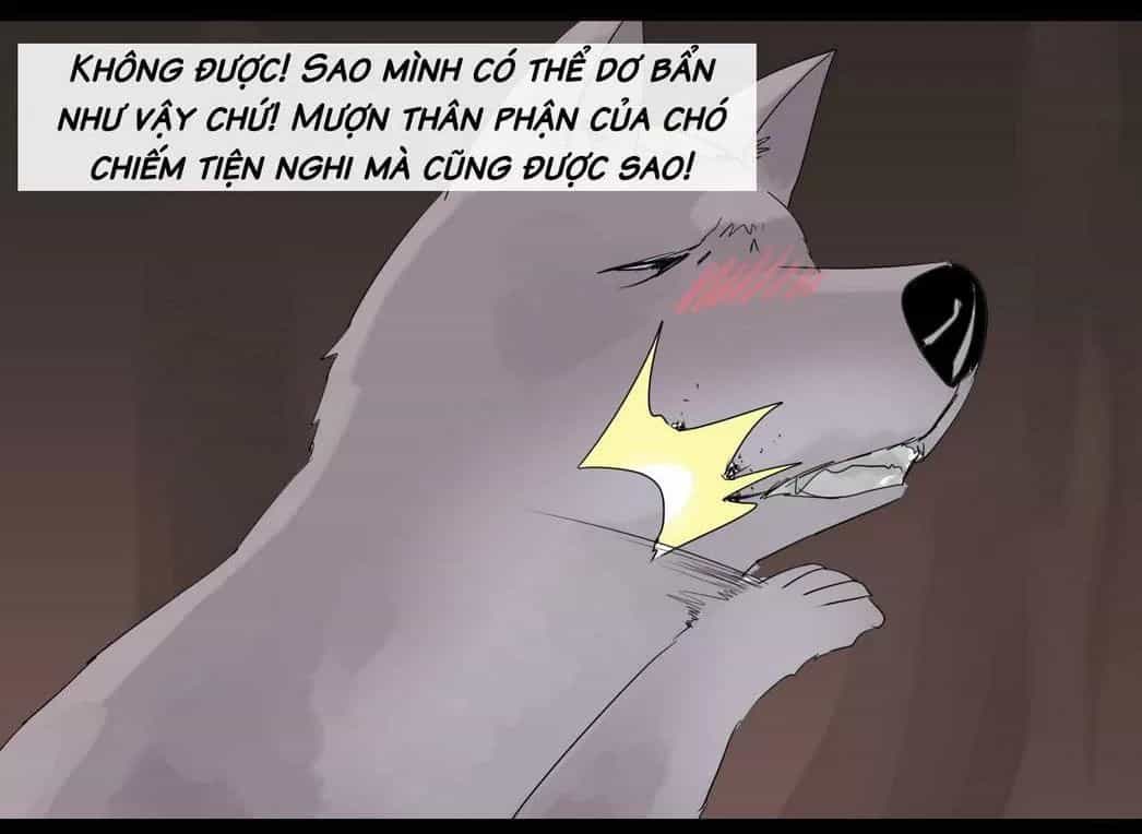 Một Con Chó - Chương 47 - ảnh 5