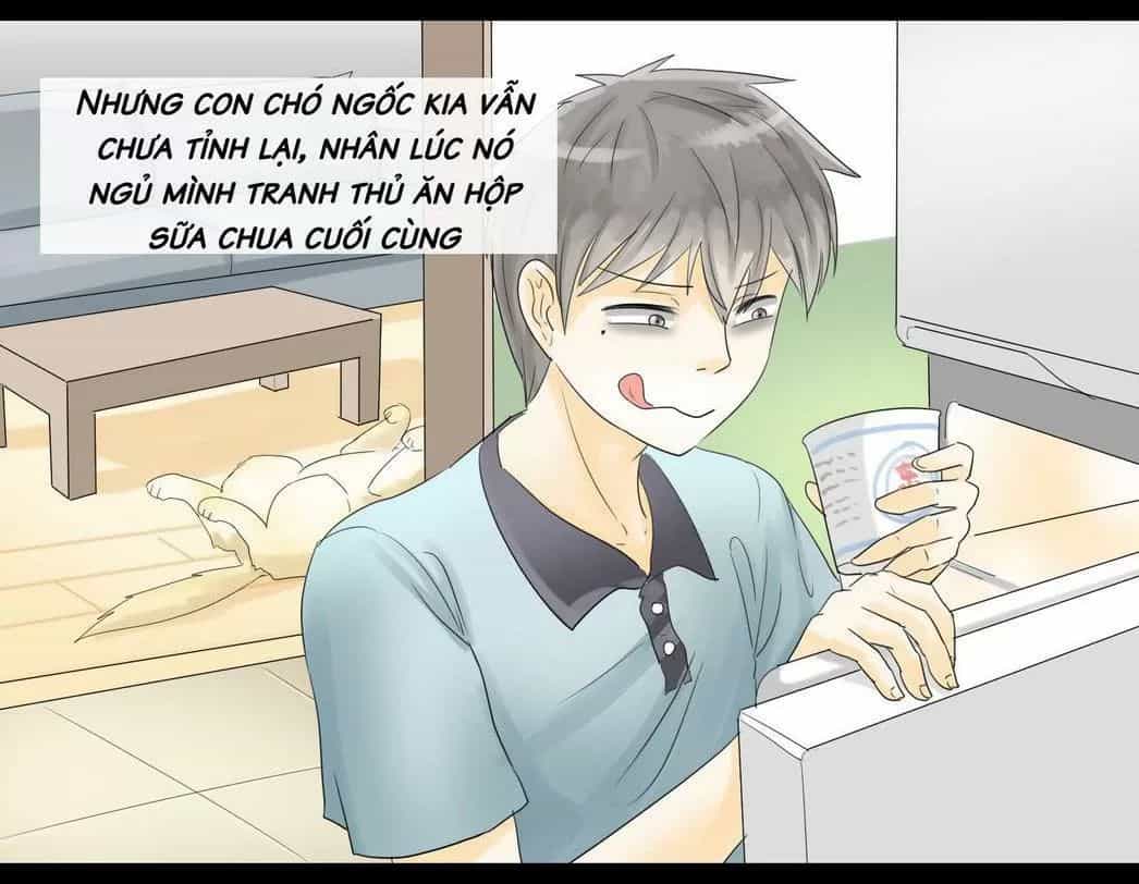 Một Con Chó - Chương 48 - ảnh 3