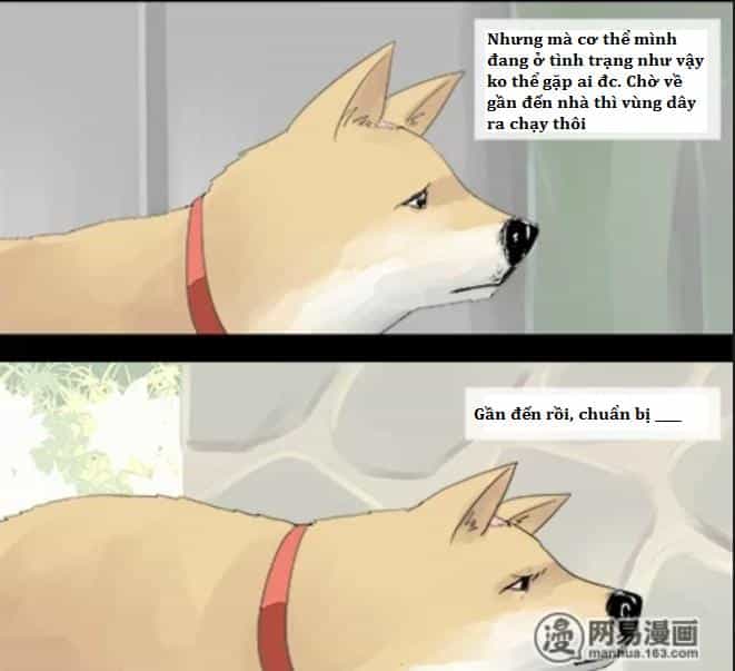 Một Con Chó - Chương 5 - ảnh 4