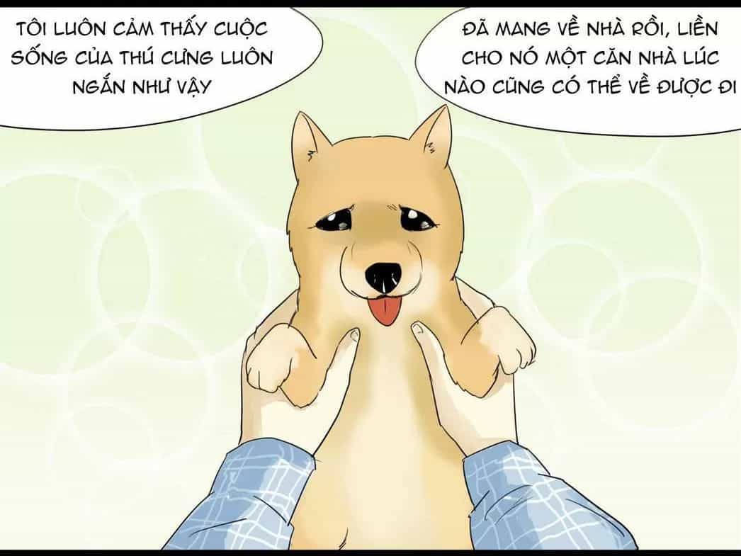 Một Con Chó - Chương 50 - ảnh 3