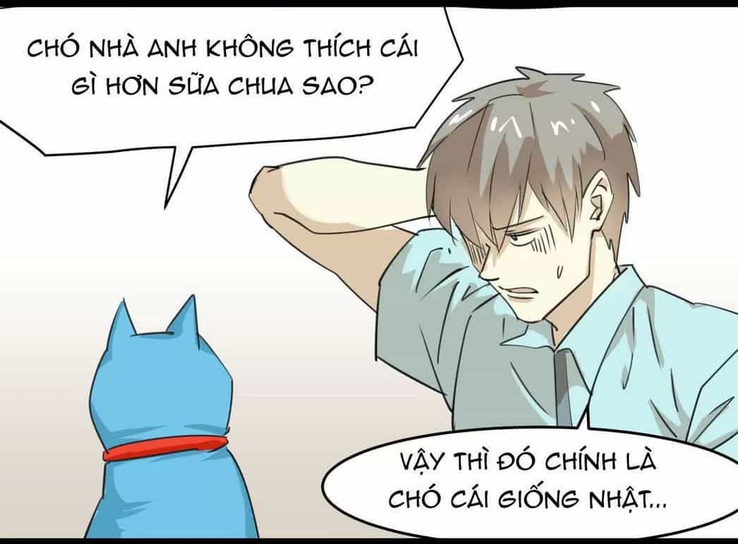 Một Con Chó - Chương 51 - ảnh 11