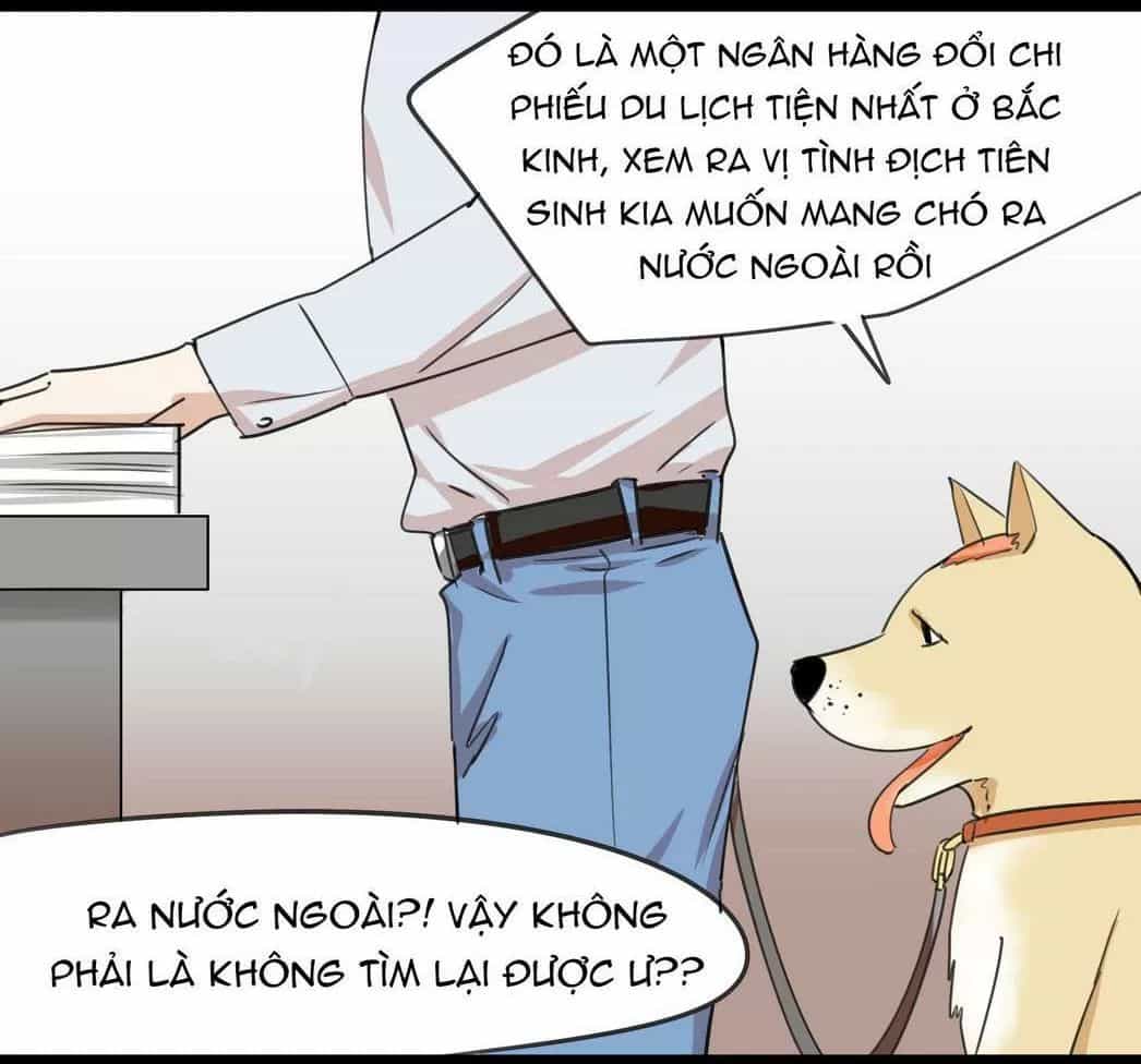 Một Con Chó - Chương 51 - ảnh 6