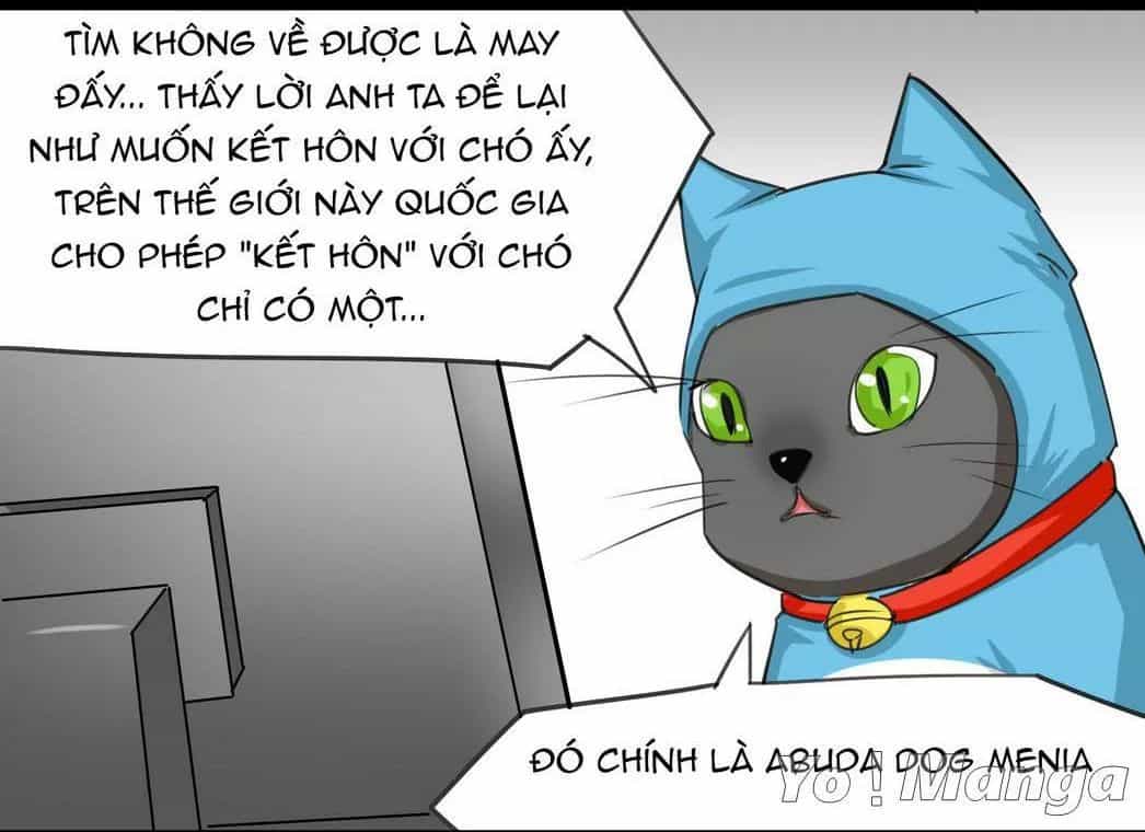 Một Con Chó - Chương 51 - ảnh 7