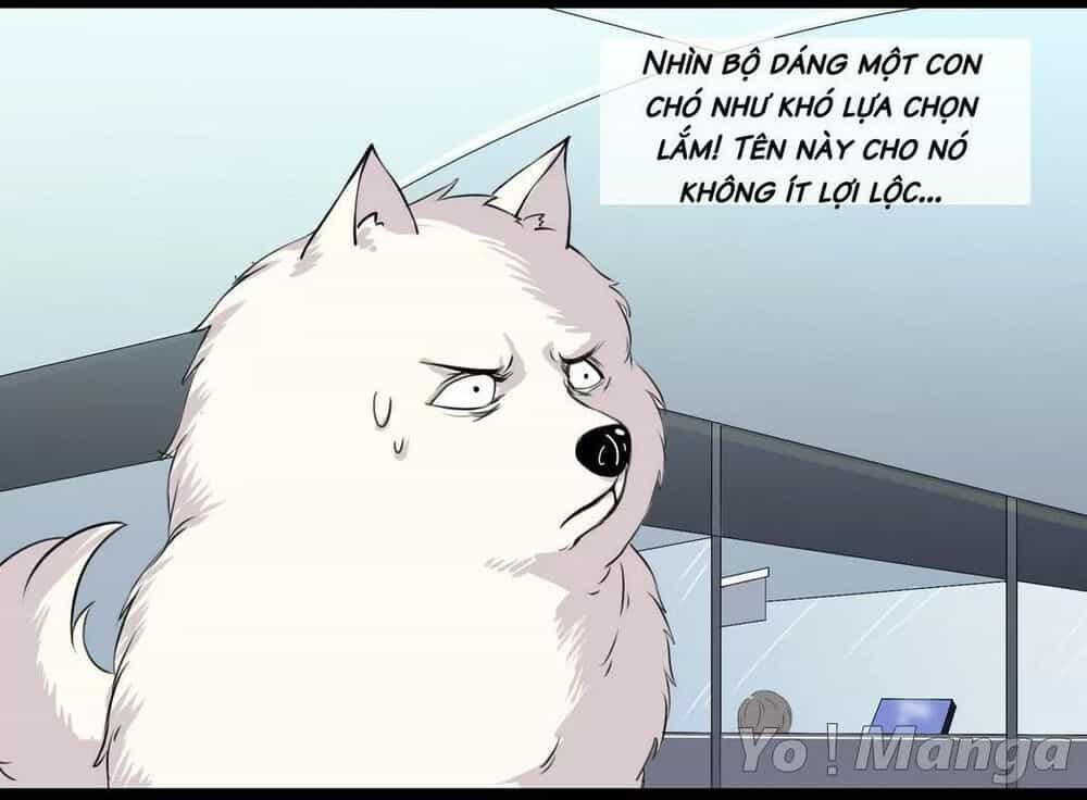 Một Con Chó - Chương 53 - ảnh 4