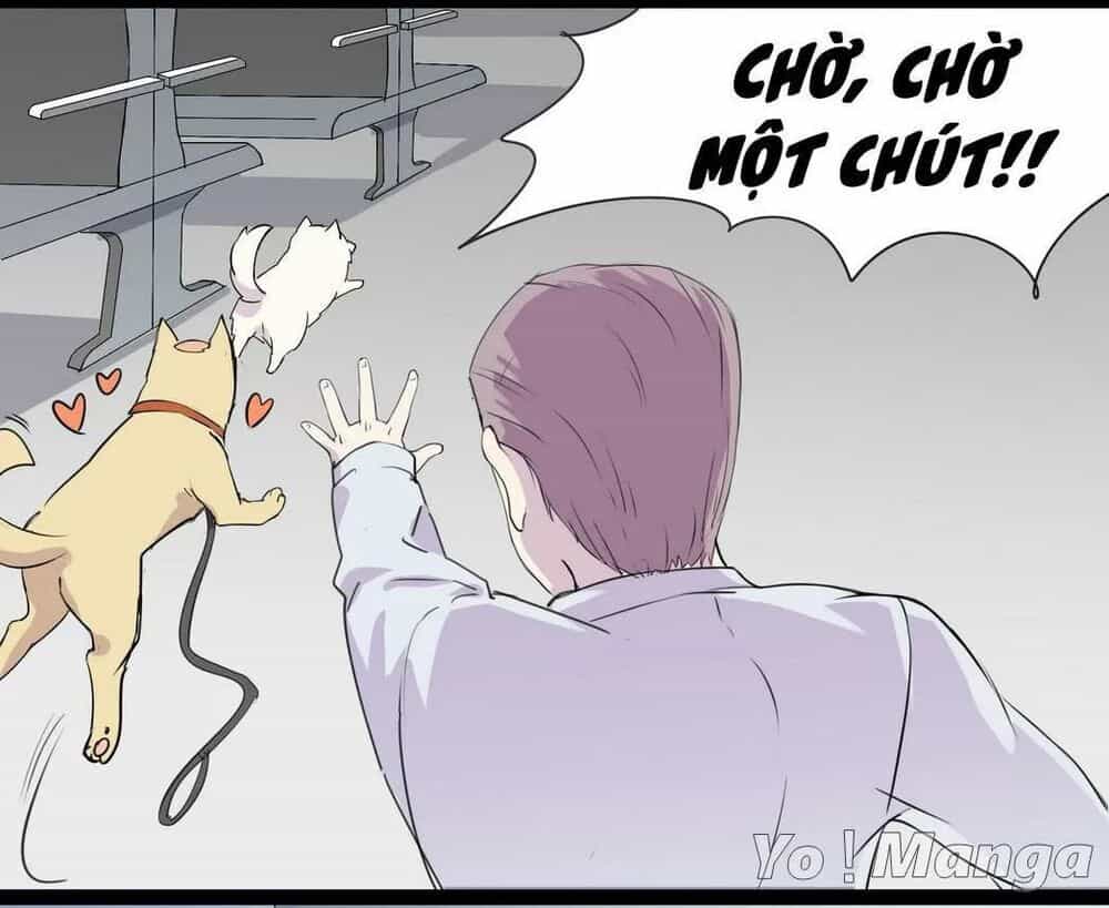 Một Con Chó - Chương 53 - ảnh 9