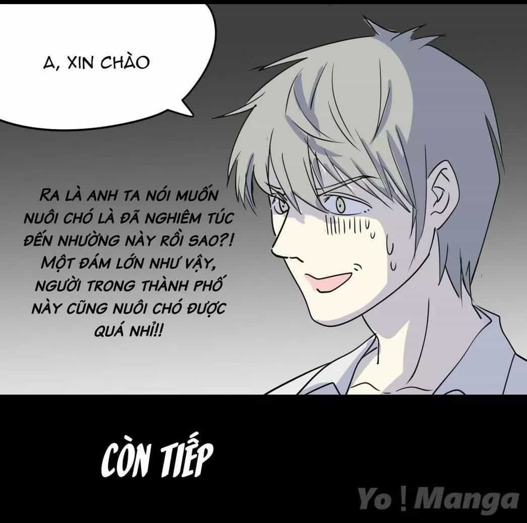 Một Con Chó - Chương 55 - ảnh 11
