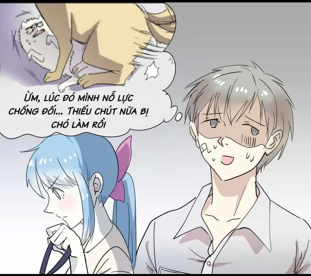 Một Con Chó - Chương 55 - ảnh 4