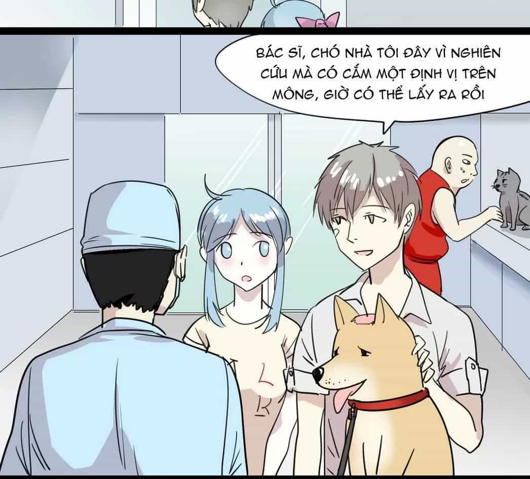 Một Con Chó - Chương 55 - ảnh 6