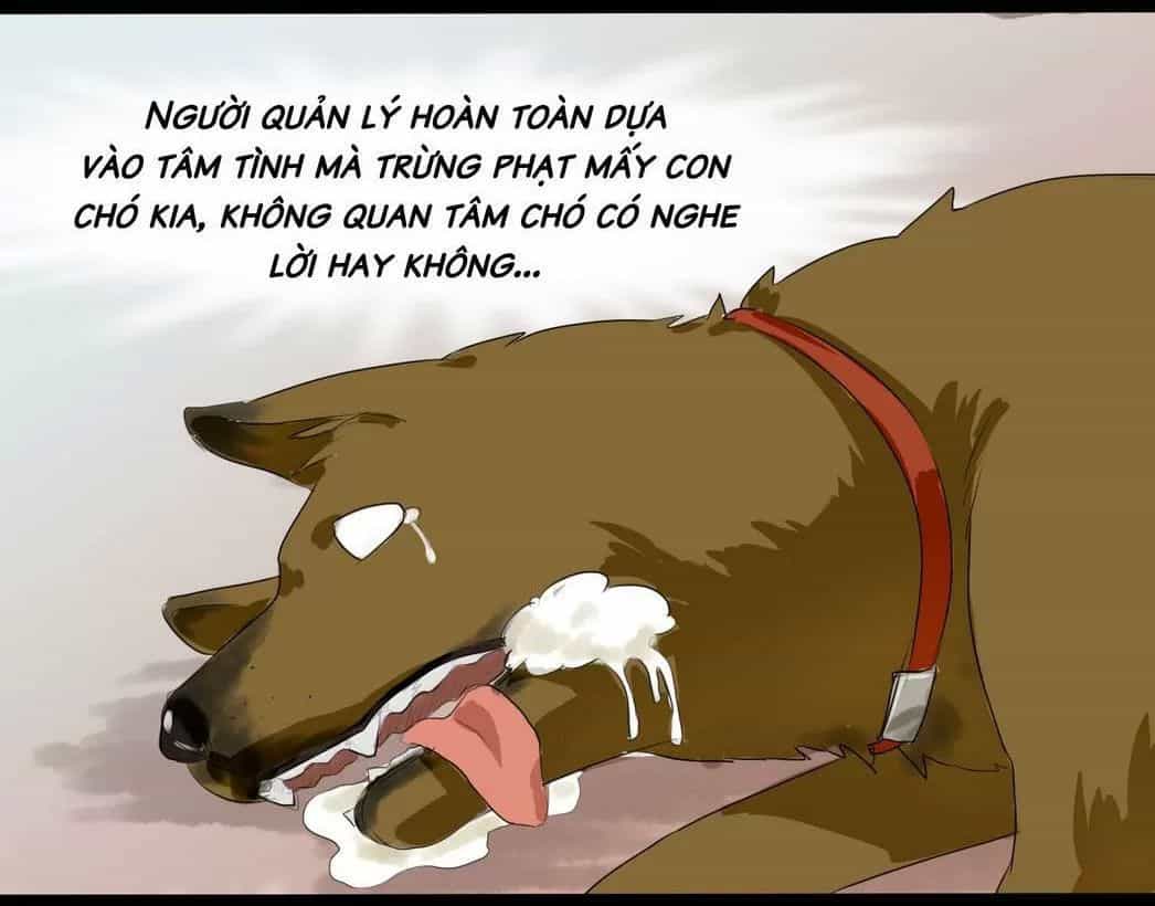 Một Con Chó - Chương 57 - ảnh 8