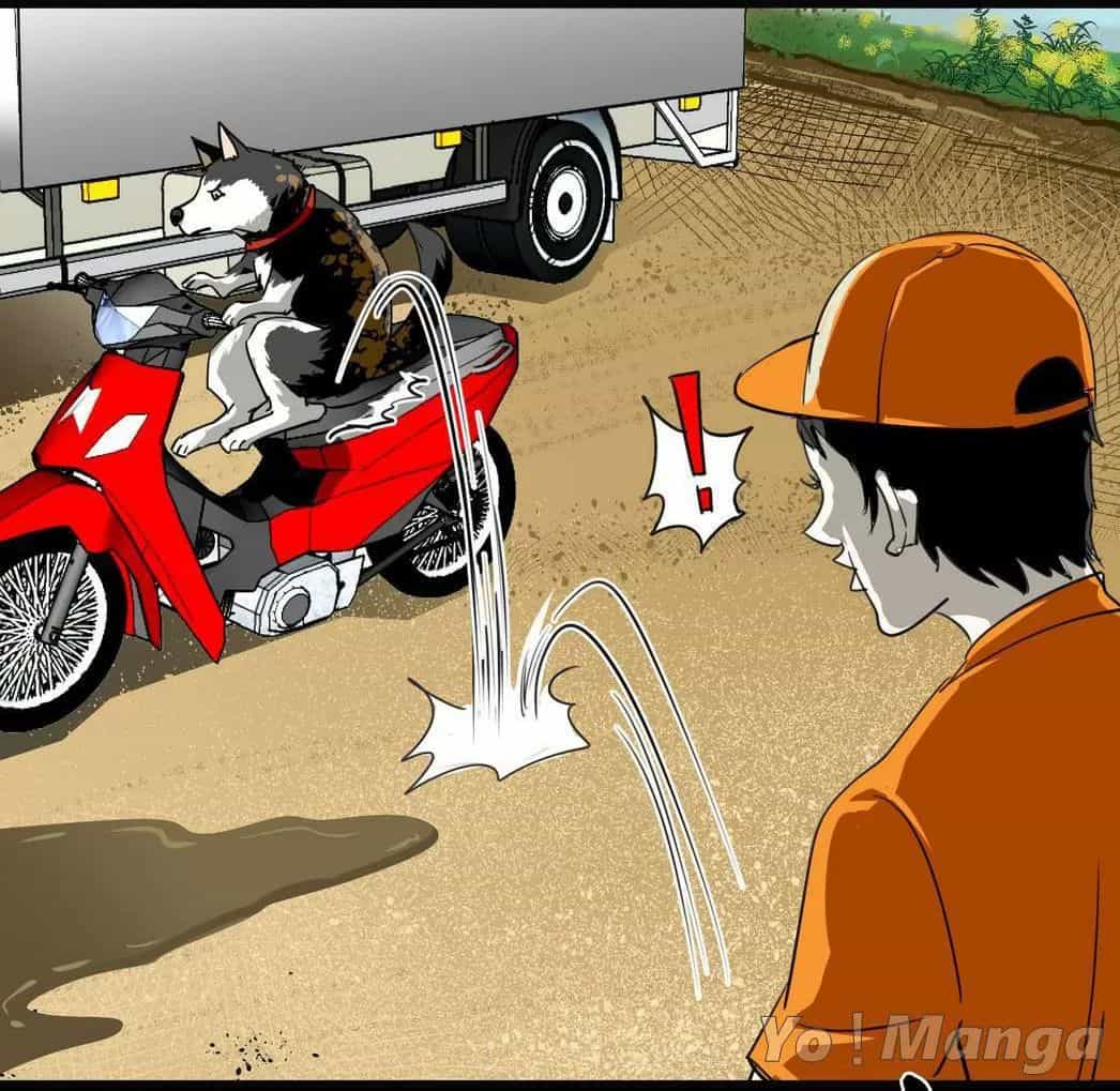 Một Con Chó - Chương 61 - ảnh 5