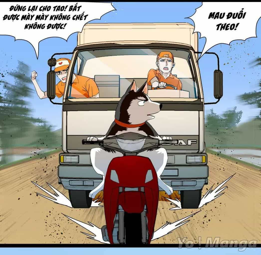 Một Con Chó - Chương 62 - ảnh 4