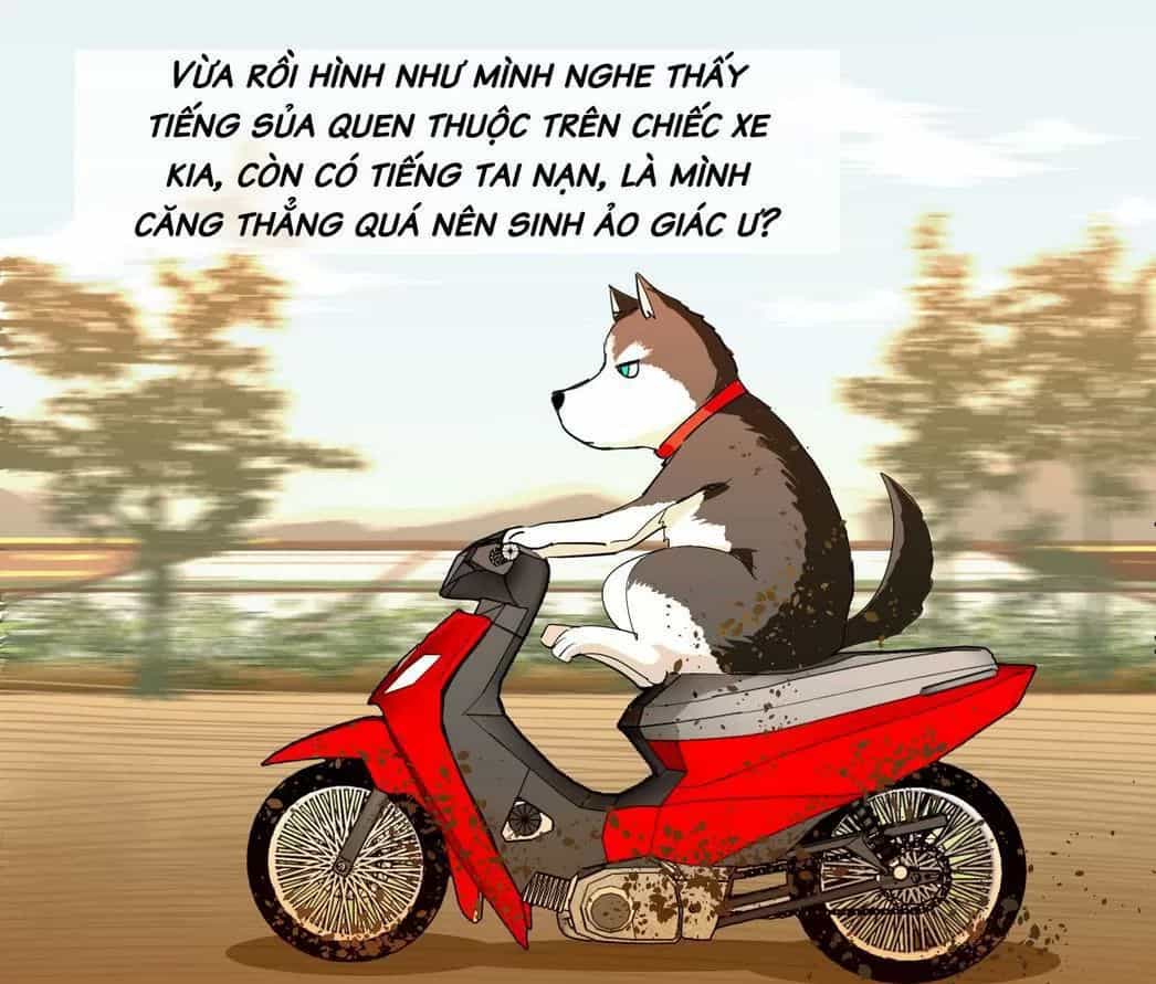 Một Con Chó - Chương 64 - ảnh 1