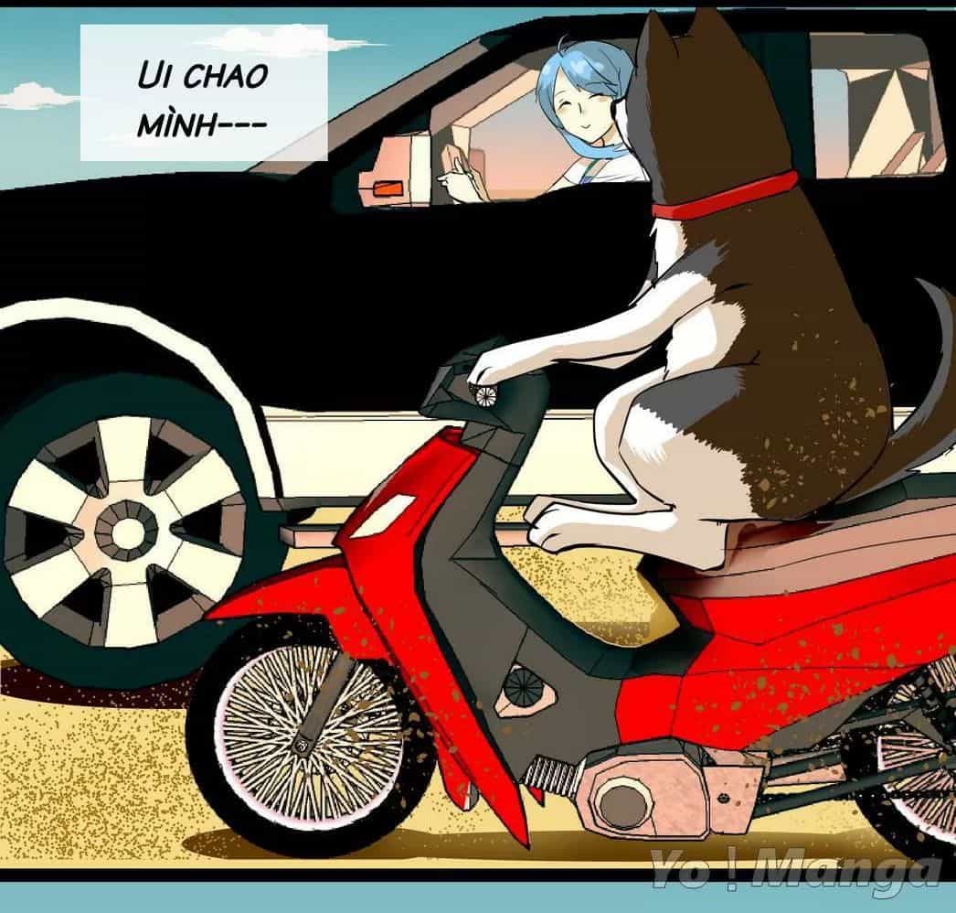 Một Con Chó - Chương 64 - ảnh 5