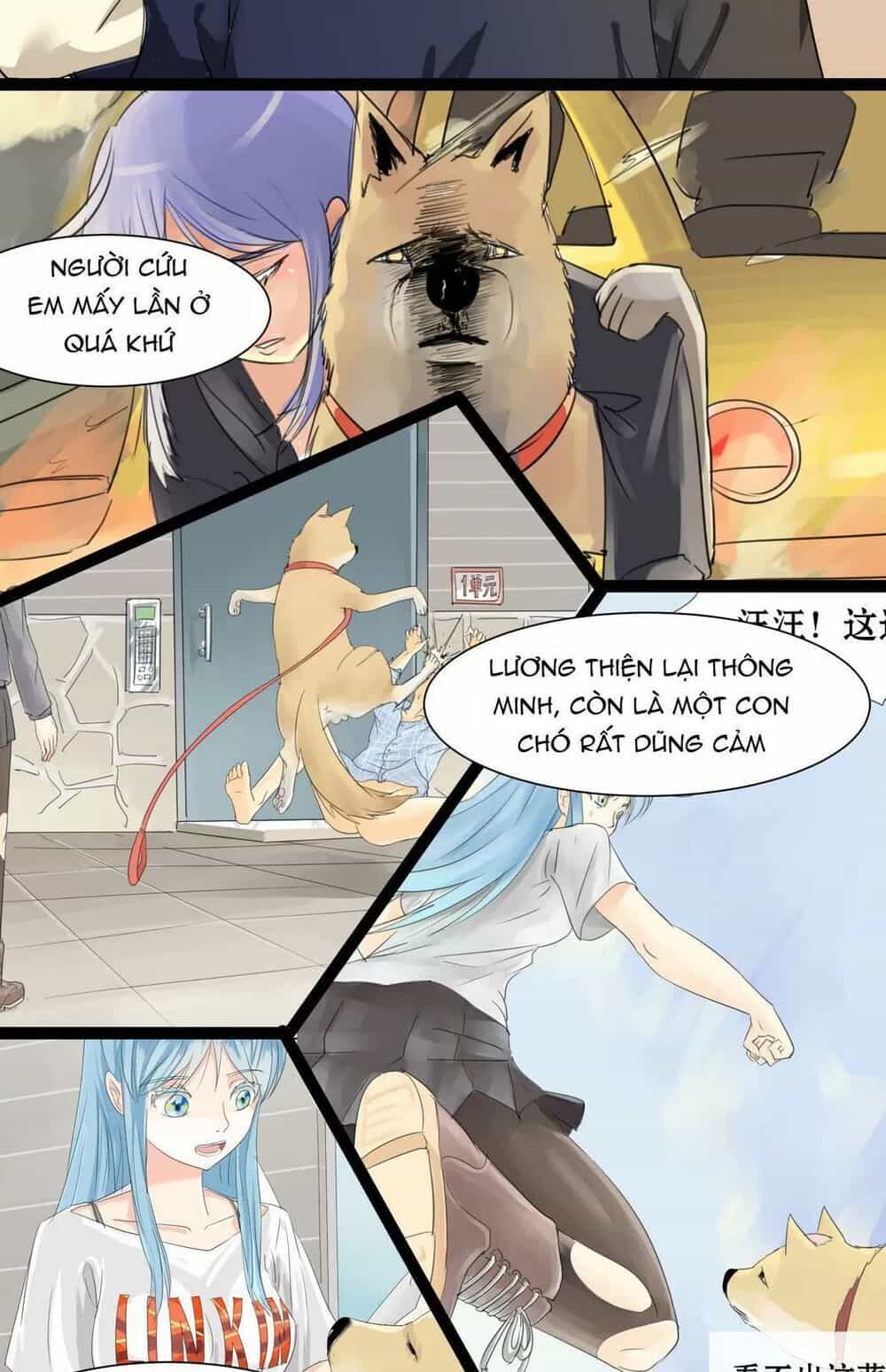 Một Con Chó - Chương 65 - ảnh 11