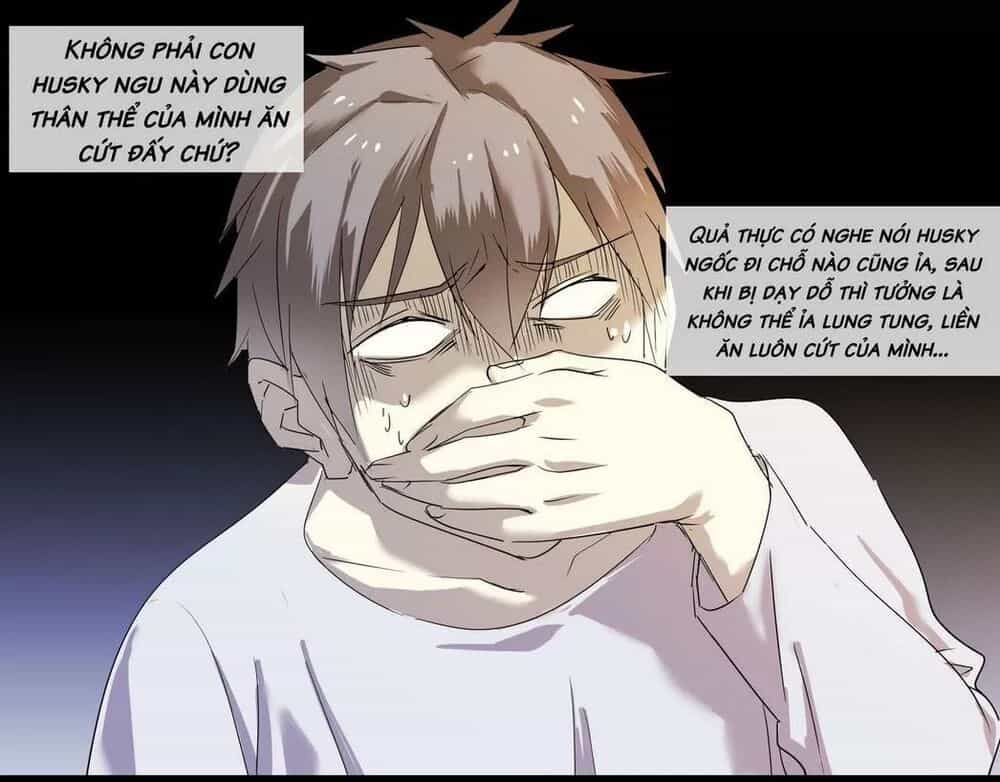 Một Con Chó - Chương 65 - ảnh 2