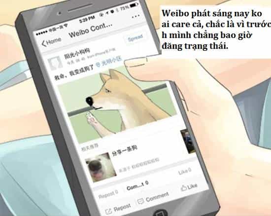 Một Con Chó - Chương 7 - ảnh 3